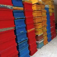 کندو زنبور عسل