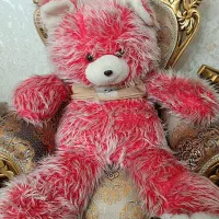 عروسک خرسی شاسخیم