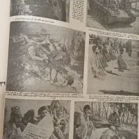 مجموعه روزنامه|کلکسیون اشیاء عتیقه|امیرکلا, |دیوار