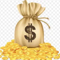 پرداخت و تامین سرمایه پرداخت سریع