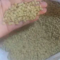 عدس محلی