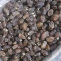 خرمابلوچستان