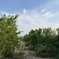 باغ ملکی شاهنامه ۶۹ زاک