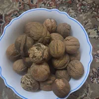 گردو امسال