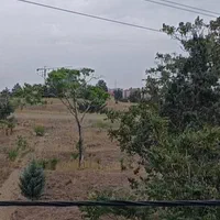 کمپ ترک اعتیاد آقایان تمایلی (شرق تهران)