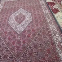 فرش بسیار خوش بافت|فرش|زنجان, |دیوار