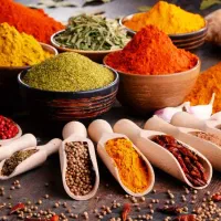 ادویه جات و چاشنی های رستورانی طعم برتر B.T.S