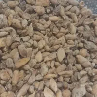 ثعلب|خوردنی و آشامیدنی|خلخال, |دیوار