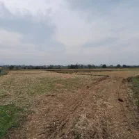 زمین‌ مزروعی ۱۵/۰۰۰متری تسطیح‌نشده در تالش کلفارود|فروش زمین و ملک کلنگی|تالش, طولارود|دیوار