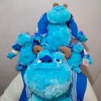 انواع عروسک پولیشی