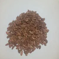 بادام درختی 100شیرین|عمده‌فروشی|آذرشهر, |دیوار