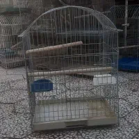 قفس