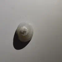 سنگ سلیمانی.سلطانی و عقیق|جواهرات|بندر ماهشهر, |دیوار