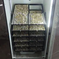 دستگاه جوجه کشی ۱۰۰۸ تایی هدایت