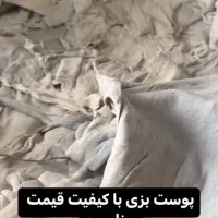 پوست مناسب برای دهلک ، دمام ، گورم