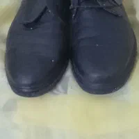 دوجفت کفش مردانه|کیف، کفش، کمربند|پرند, فاز ۶|دیوار