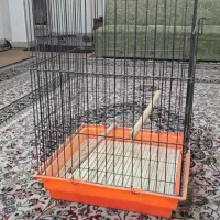 فروش قفس بزرگ برای پرنده وطوطی.