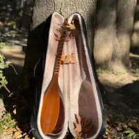 سازِ تنبور