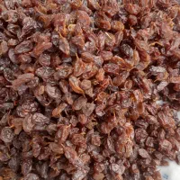 کشمش انگور عسکری