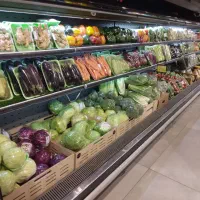 تعمیرات یخچال پرده هوا ،صنعتی و سردخانه|فروشگاه و مغازه|تهران, شهرک غرب|دیوار