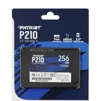 SSD 256 patriot