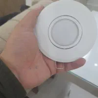 ۲۵تاهالوژین ۵ وات مارک شاهچراغ سالم