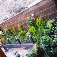 خدمات باغبانی تمام.نقاط تهران گلکاری هرس خاک گلدان