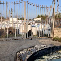 سگ ژرمن بلک ماده اصیل|سگ|پرهسر, |دیوار