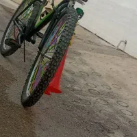 دوچرخه 26نو|دوچرخه، اسکیت، اسکوتر|مسجد سلیمان, |دیوار