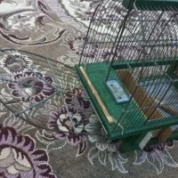 قفس تله ای|لوازم جانبی حیوانات|همدان, |دیوار