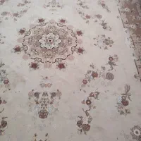 قالی وموکت همه باهم هشت میلیون