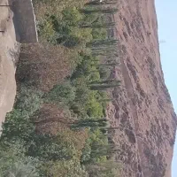 مسافرت برون شهری