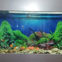 آکواریوم دیواری