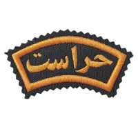 جذب حراست (آقا و خانم)