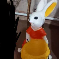 خرگوش گلدانی