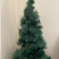 درخت کاج کریسمس