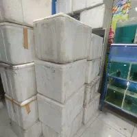 یخدون وفیبر