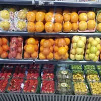 کارگر ساده  اقا   شیفت شب شهر قدس