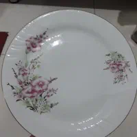 بشقاب و خورشت خوری