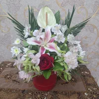 گل بسیار زیبا و سالم  (قیمت توافقی)|گل و گیاه طبیعی|تهران, بهارستان|دیوار