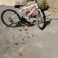 دو عدد دوچرخه ۱۲ و ۲۴