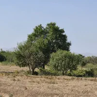 1000متر-زمین-آماده-ساخت-باغچه-فقط-1قطعه-باقی-مانده