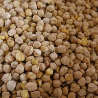 نخود کرمانشاهی