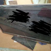 تلویزیون|تلویزیون و پروژکتور|بندر ماهشهر, |دیوار