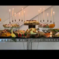 خانم برای نظافت منازل و پذیرایی مجالس روزانه