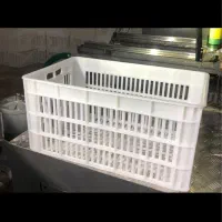 سبد حمال ۲۰و۲۵کیلویی سردخانه ای uv و زیرصفر|عمده‌فروشی|ساوه, |دیوار