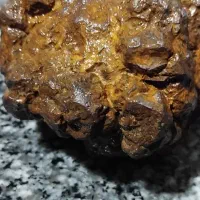 شهاب سنگ|کلکسیون اشیاء عتیقه|فیروزآباد (فارس), |دیوار