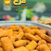 نیرو فیله زن و آماده ساز