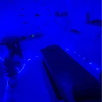 روغن ماساژ/ماساژ