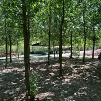 آینده خودتو با انتخاب مجموعه ما تضمین کن|فروش خانه و ویلا|مبارکه, |دیوار